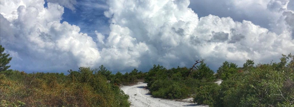 Jupiter Ridge Sand Spur - Jupiter , FL 12/26/2026