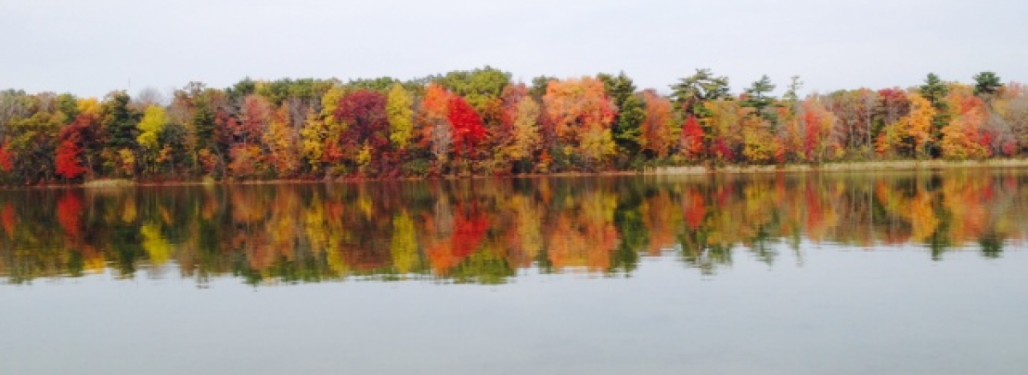 Yankee Springs Fall Trail Run Festival Middleville Mi 10 08 22