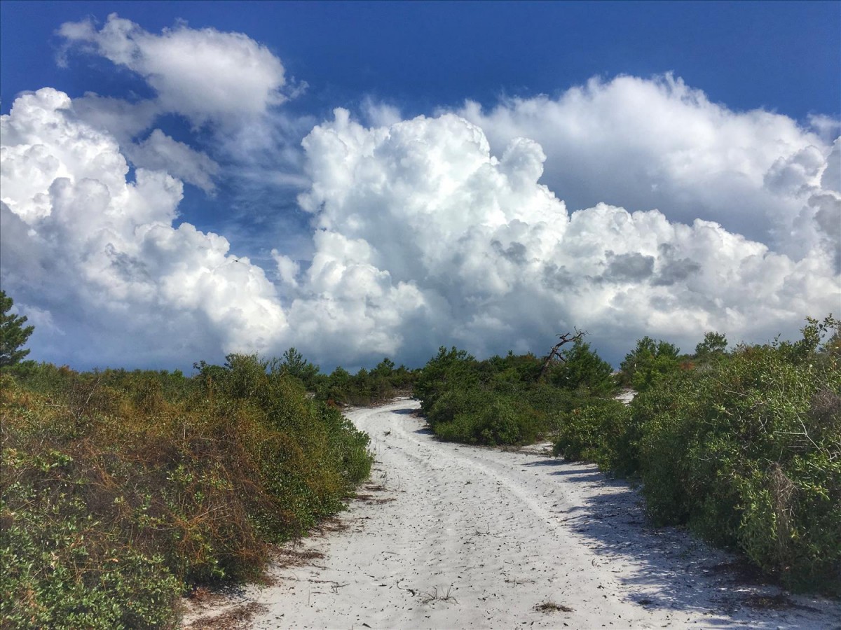 Jupiter Ridge Sand Spur Jupiter , FL 12/11/21