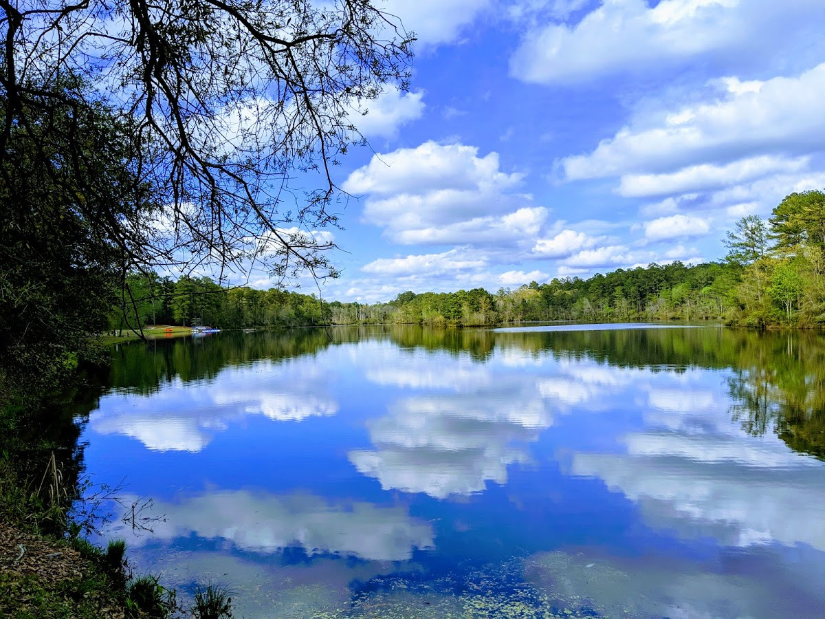 Sandhills Trail & Ultra Festival Columbia , SC 08/21/21