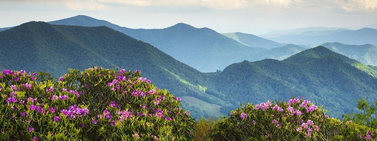 Bel Monte - Waynesboro , VA 03/13/21